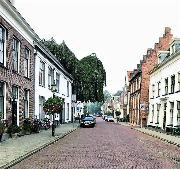 De Buurvrouw Nr.18 Bed and Breakfast Doesburg Buitenkant foto